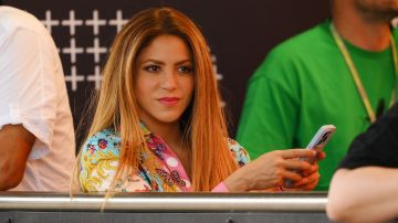 Shakira es seguidora de Miami Heat.