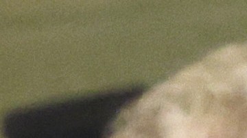 La rebelión va dirigida contra el presidente de la Cámara de Representantes, el republicano Kevin McCarthy.