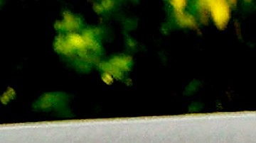 Donald Trump caso miami