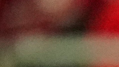 Guillermo Ochoa durante el partido contra Estados Unidos.