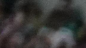 Selección Mexicana.