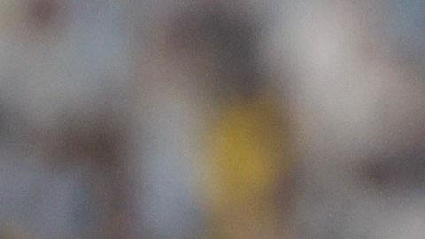 Lionel Messi ganará un increíble sueldo en el Inter Miami.