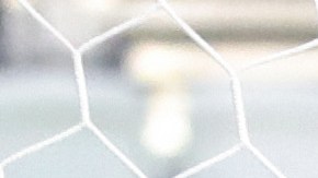 Jugadores de Martinica celebran el triunfo ante El Salvador.