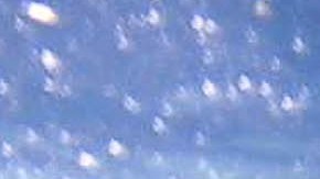 El tiburón mordió la mano de un hombre y lo tiró del bote donde viajaba.