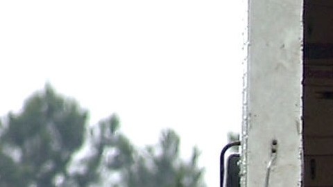 La industria agrícola sería de las más afectadas por la Ley SB 1718 en Florida.