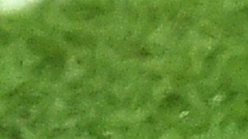 Gonzalo Huguaín, exjugador de fútbol.