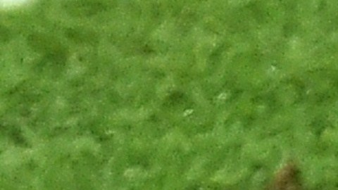 Gonzalo Huguaín, exjugador de fútbol.