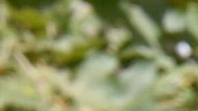 Sean Rad invirtió miles de dólares en la remodelación de esta propiedad de Hollywood Hills.