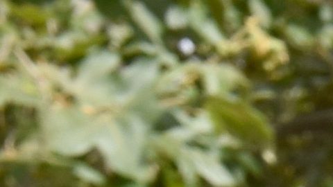 Sean Rad invirtió miles de dólares en la remodelación de esta propiedad de Hollywood Hills.