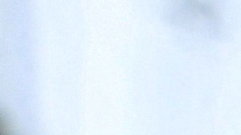 Ismail se declaró inocente de los cargos y está arrestado sin derecho a fianza.