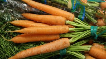 La zanahoria que contiene beta-caroteno, un pigmento que en el organismo se transforma en vitamina A. Photo by Sean Gallup