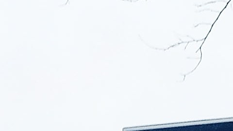 Rikers, durante generaciones, ha producido aislamiento, desesperación y reincidencia.