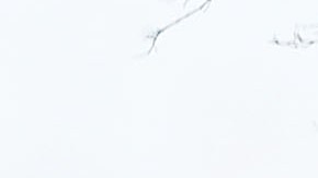 Rikers, durante generaciones, ha producido aislamiento, desesperación y reincidencia.