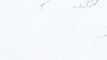 Rikers, durante generaciones, ha producido aislamiento, desesperación y reincidencia.