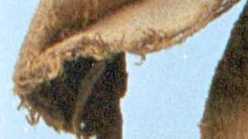 Momia descubierta en Perú.