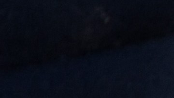 dos autobuses de la misma línea comercial han sido detenidos en Sonora con 320 migrantes de 25 nacionalidades.