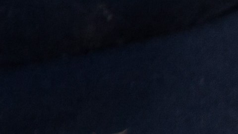 dos autobuses de la misma línea comercial han sido detenidos en Sonora con 320 migrantes de 25 nacionalidades.