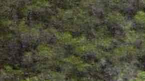 COLOMBIA-PEACE-ARCHAEOLOGY-SERRANIA-CHIRIBIQUETE-ROCK ART