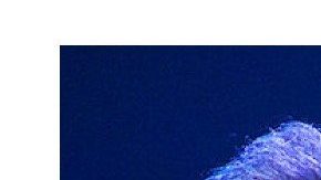 Manuel Mijares, Camilo y Christian Nodal aprenden lenguaje de señas, para comunicarse con sus fans.