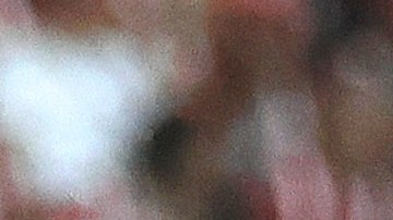 El jugador confía en alcanzar nuevamente la final de la Liga MX.