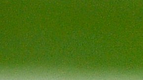 Jugador de los Colts confiesa que violó la política de apuestas de la NFL: "Cometí un error de juicio"