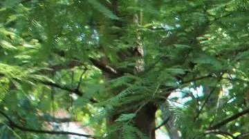 Javier Peinado Sánchez muestra su libro.