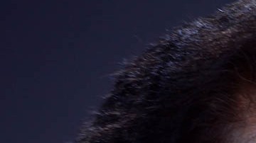 "El Puma" reconoce estar en deuda permanente con México