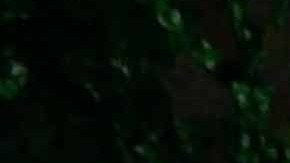 La mejor época de Lyn May surgió en la década de los 70s