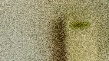 Luis Miguel y Paloma Cuevas, disfrutando de su relación con un paseo romántico por Barcelona