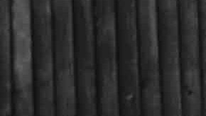 La denuncia de varias personas hizo posible el arresto de la irresponsable mujer