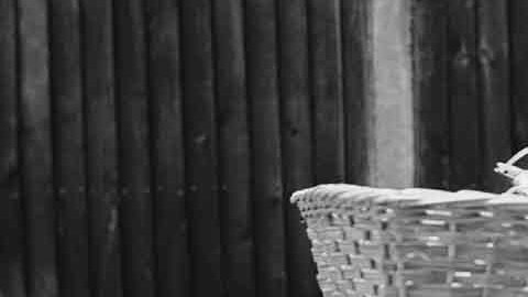 La denuncia de varias personas hizo posible el arresto de la irresponsable mujer