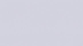 Marco Antonio Regil ya no quiso convivir más con su perrita Luna