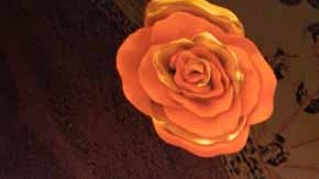 Margarita Gralia lleva 40 años de vivir en México