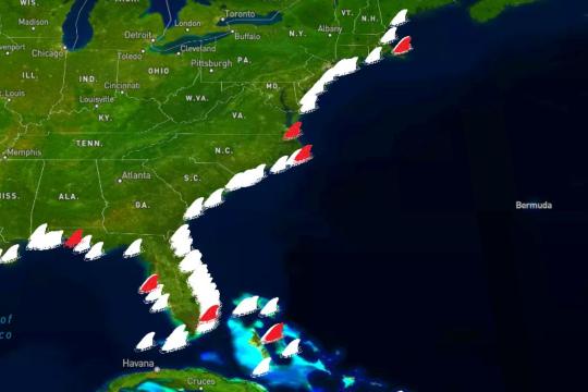 Mapa interactivo de ataques de tiburones revela los lugares y condiciones más comunes