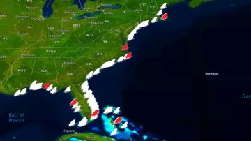 Imagen del mapa interactivo de tiburones de Florida Panhandle.