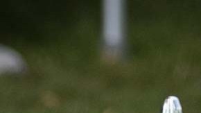 Hasta el momento se desconocen las causas que provocaron la muerte del pequeño Miles Basellio