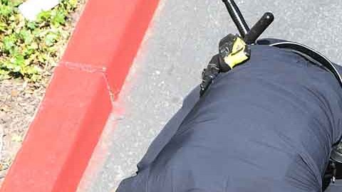 En cuestión de minutos la mujer terminó sometida por la policía