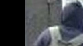 El extraño es descrito como de entre 30 y 40 años, de 5 pies y 6 pulgadas aproximadamente y de tez oscura.