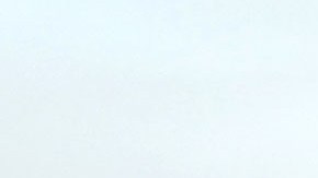 Patrick Carroll arrastra un historial de violencia