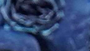 Príncipe William y Kate Middleton