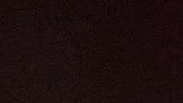 Ricardo Pepi ficha por el PSV Eindhoven