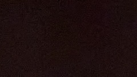 Ricardo Pepi ficha por el PSV Eindhoven