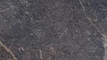 Pizza fresco Pompeya