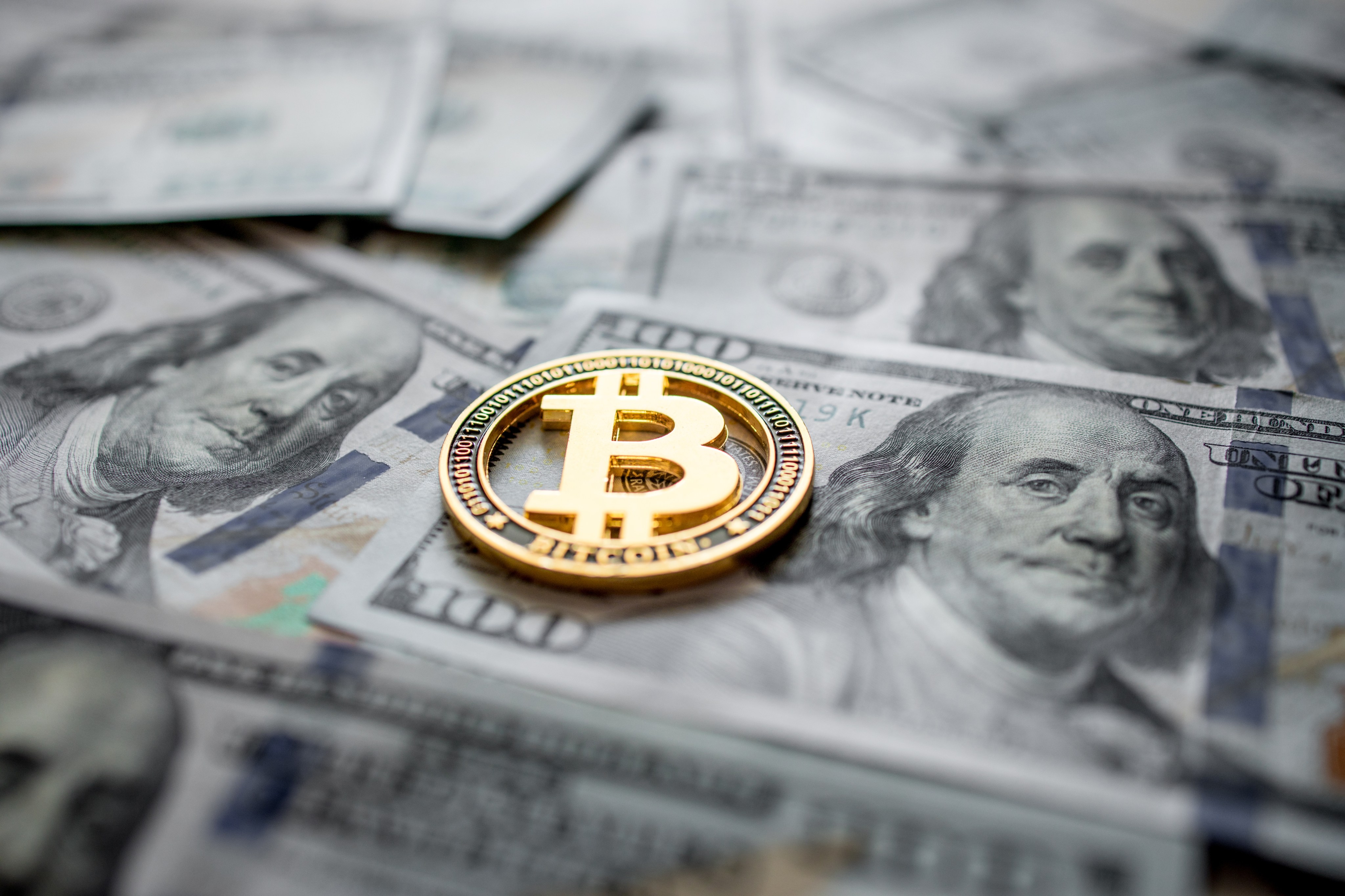 Cuánto dinero tendrías ahora si hubieras comprado $100 de Bitcoin en enero  de este año - El Diario NY