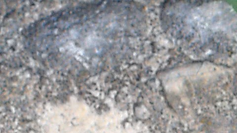 boleto-loteria-expiracion-canada