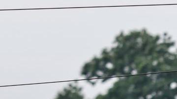 El colapso de la presa crítica de Ucrania en el río Dnipro a provocada varias evacuaciones.
