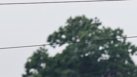 El colapso de la presa crítica de Ucrania en el río Dnipro a provocada varias evacuaciones.