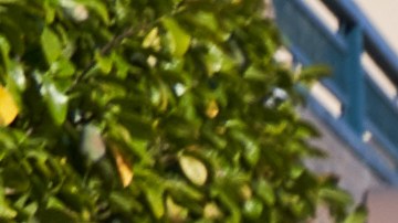 doordash-loteria-maryland