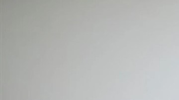 Félix Verdejo y Eliz Marie Santiago Sierra