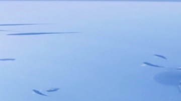 Base subacuática Aquarius en Florida